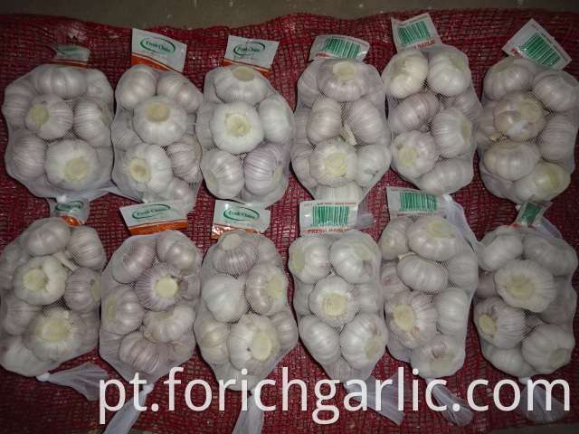 Regular White Garlic